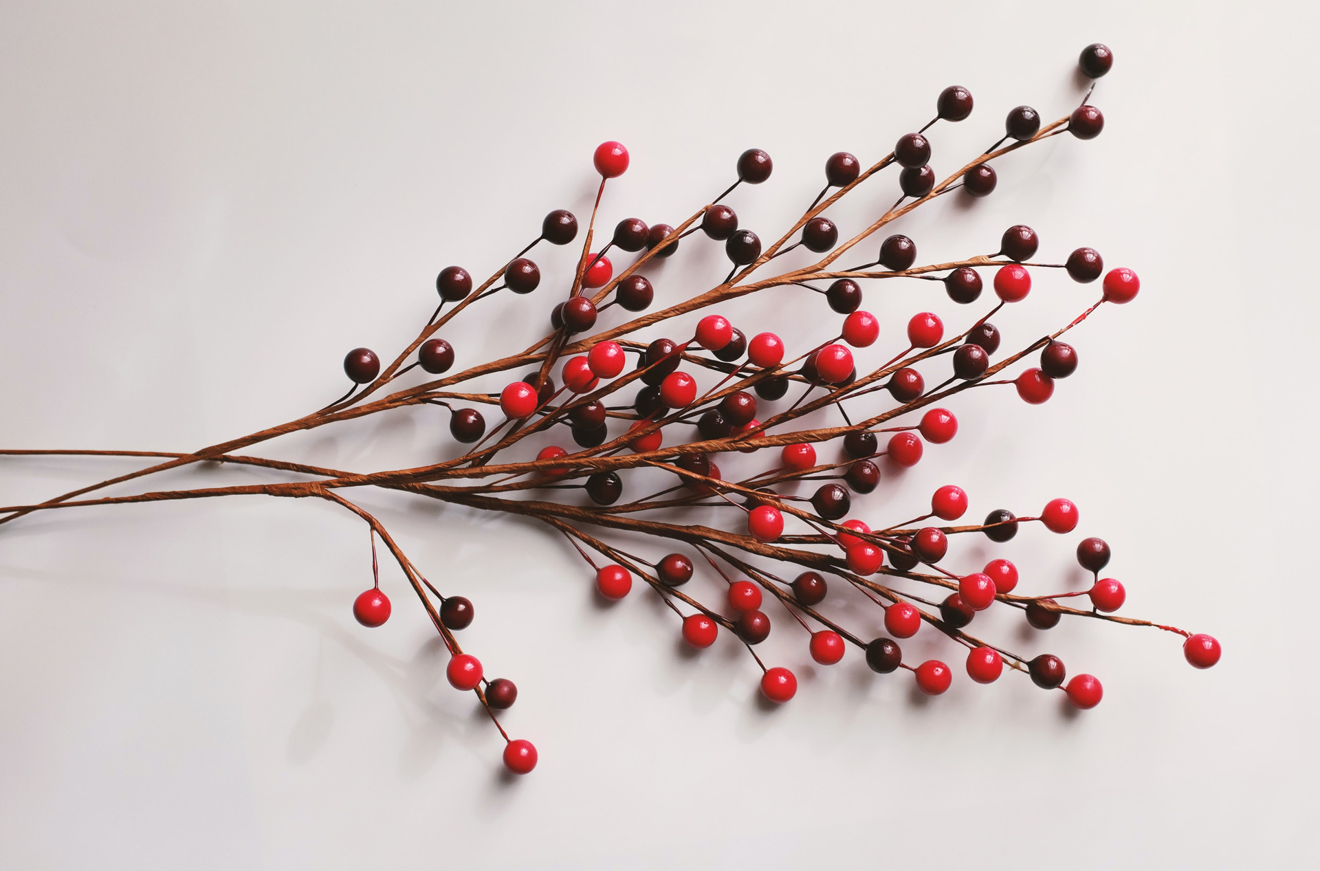 image of berries on a twig